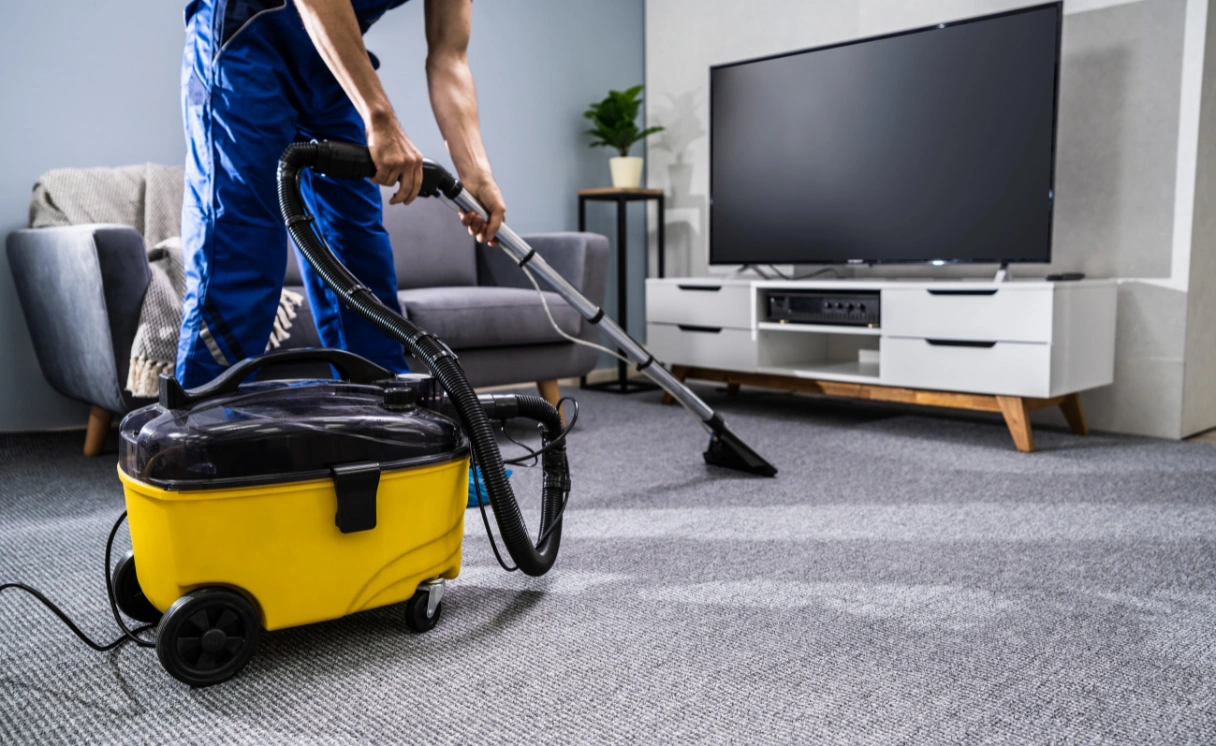 Extract Carpet Cleaning Point Leo Contact Office